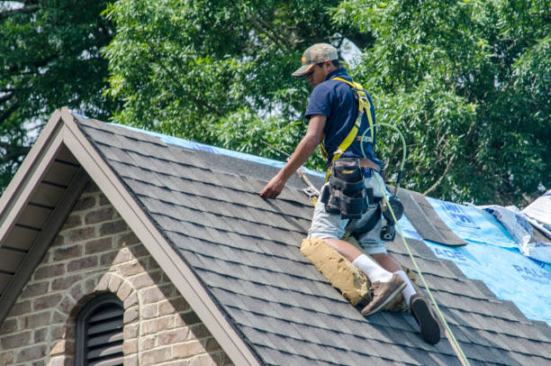 Best Metal Roofing Contractor  in Walters, OK